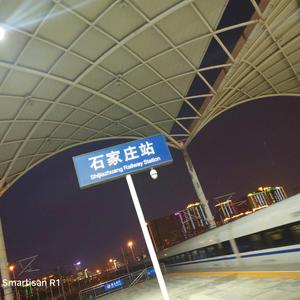 新有菜电影免费观看最新一期
