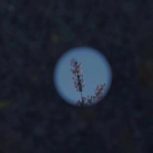 新有菜电影免费观看最新一期
