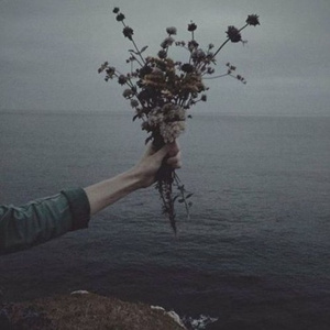 新有菜电影免费观看最新一期
