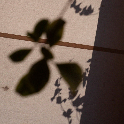 新有菜电影免费观看最新一期
