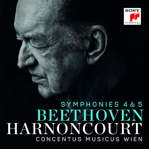 新有菜电影免费观看最新一期
